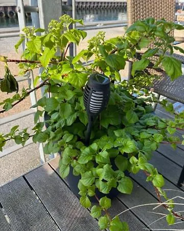 アパート Feriebo